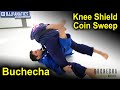 Knee Shield Coin Sweep by Marcus Buchecha Almeida