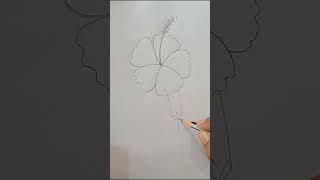 Hibiscus 🌺 Pencil Drawing|| Hibiscus flowers drawing # shorts # गुड़हल का फूल कैसे बनाएं👍👉🌎🌺🌺