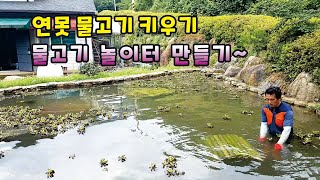 연못에 물고기 키우기! 물고기 놀이터를 만들었어요. 붕어 잉어가 좋아 할까요? 산골영상일기~