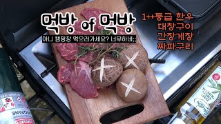 돼지인증! 이와중에 곱창 또 먹고싶다 부부캠핑/커플캠핑/캠핑요리/노갬성/먹방/고기굽는소리/asmr