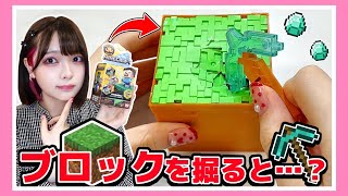 マイクラのブロックを壊してみたらお宝が出てきた…！？💎⛏✨【マイクラ / マインクラフト / Minecraft】【たまちゃん】