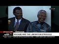 mugabe s role in the liberation struggle