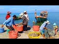 Seafood Paradise at Crab Market! Best Street Food Tour in Kep Province, Kampot, & More, Cambodia