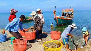 Seafood Paradise at Crab Market! Best Street Food Tour in Kep Province, Kampot, \u0026 More, Cambodia