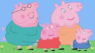 Fat Peppa Pig Family