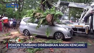 Sebuah Mobil Ringsek Usai Tertimpa Pohon di Makassar, Sulawesi Selatan #SeputariNewsPagi 11/10