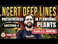 PHOTOSYNTHESIS IN HIGHER PLANTS CLASS 11 | NCERT DEEP LINES | COMPLETE NCERT FOR NEET 2025 TARUN SIR