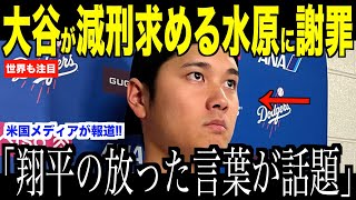 大谷翔平が減刑求める水原一平被告に謝罪した理由が話題…米国メディアの取材にヘルナンデスが語った内容に注目【海外の反応 MLBメジャー 野球】