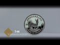 2019 Silver Krugerrand Proof Coin by South African Mint