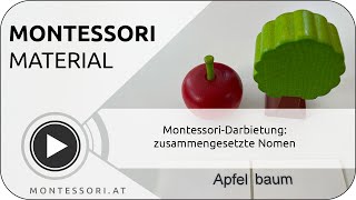 Montessori-Darbietung: zusammengesetzte Nomen [Montessori-Ausbildung]