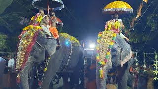 Kalpadaku Sree Esakki Amman Temple Featival 2022 - part 3||Kalpadaku ||Krish n mom||கோவில் குடை