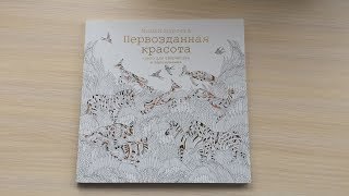 РАСКРАСКА | Первозданная красота (Милли Маротта) | Быстрый обзор | Wild Savannah