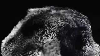 OVERWERK - Force - Experimental Music Video