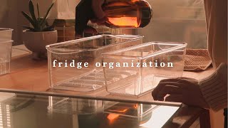 Fridge organization & cleaning
