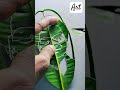 koneru humpy s stunning leaf carvings will blow your mind shorts koneruhumpy