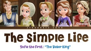 The Simple Life - Color Coded Lyrics | Sofia the First 