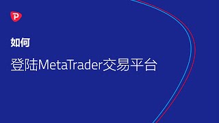 如何登陆Meta trader交易平台