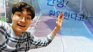 챠미의 리뷰 #10 걸즈 앤 판처 호시이모(?)