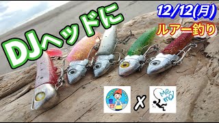 【コラボ】🐟４人で攻める❗自分はジグヘッド組み合わせ変えて攻める❗❓いざ豊橋サーフへ【ルアー釣り/青物/ヒラメ/釣りたい！】