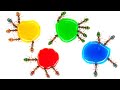 🐜 Ants vs Liquid Candy ( Time Lapse )