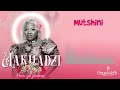 Makhadzi - Mutshini (Official Video Visalizer)