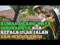 MENGUSIR KEPALA ULAR GH418 DAN 9ENDERUW0H DIRUMAH ORANG KAYA DISURABAYA