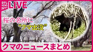 【クマ出没ニュース】「逃げて！」各地でクマによる被害相次ぐ / 木の上を見上げると、そこにいたのは…。/ 都内でもクマ目撃情報　など　ニュースまとめライブ（日テレNEWS LIVE）