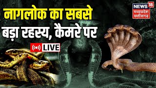 Live News : गांव के नागलोक का बड़ा रहस्य | अनसुनी अविश्वसनीय कहानी | Naglok News । Latest Hindi News