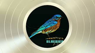 The Finesse - Bluebird (Scott Yoshimura Remix) ft. Andre Davis