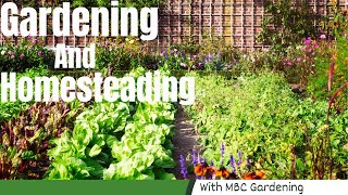 Let’s get this backyard ready for spring!! #gardening #beginnerhomesteader #preservingfood #vlog