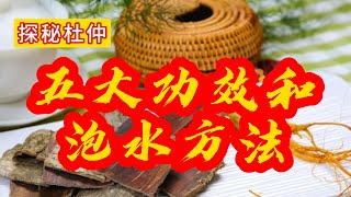 中药材丨杜仲：.探秘杜仲：五大神奇功效及饮用方法