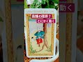 【今日の一枚】吊るされた男（逆位置）🍀動くと新しい世界が広がります🌏