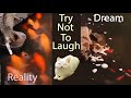 dream vs reality try not to laugh memes funny cute pets cat tiktok shorts viral video