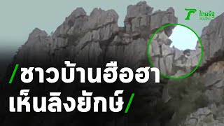 เจอแล้ว ลิงยักษ์ เขาหน่อ เดินไปมา ชาวบ้านฮือฮาเห็นกับตาตัวเอง | Thairath Online