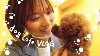 【vlog】阿部華也子の休日☀️ ドッグカフェに遊びに行きました🐶💕