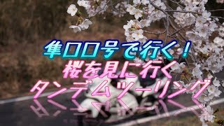 隼ロロ号で行く！桜を見に行く　タンデムツーリング