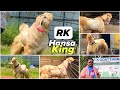 RK Goat Farm Series Part 1 - JP Hansa Collection & Palai Introduction, Mumbai