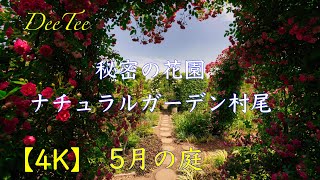 【4K  秘密の花園　ナチュラルガーデン村尾5月の庭】さいたま市　見沼田んぼにある楽園庭　Natural Garden Murao