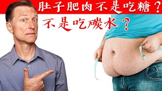 減不了肚子肥肉,不是吃糖和碳水,天然戒酒替代法,柏格醫生 Dr Berg