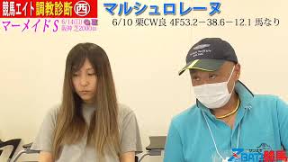 【競馬エイト調教診断】マーメイドS（柳＆ミッキ）