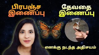 பட்டாம்பூச்சி என் கையில் அமர்ந்தது | Angel Sign |பிரபஞ்ச இணைப்பு தேவதை இணைப்பு | கோடான கோடி நன்றி🙏✨️