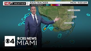 South Florida 11 p.m. Weather Forecast 10/13/2024