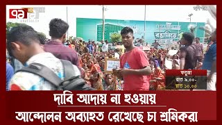 কোটি টাকার চা পাতা নষ্টের অভিযোগ এনে সাধারণ ডায়েরি করলো চা বাগান কর্তৃপক্ষ | News | Ekattor TV