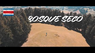 Bosque seco | Un lugar mágico de Costa Rica