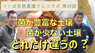 【コラボ企画】菌が”豊富な”土壌と”少ない”土壌って、実際どれだけ違うの？