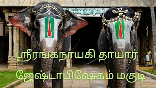 ஶ்ரீரங்கநாயகி தாயார் ஜேஷ்டாபிஷேகம்#srirangam #trichy