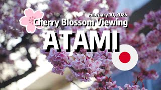 （2025）Sakura Day Trip to Atami from Tokyo | Cherry Blossom Viewing Japan Vlog