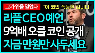 리플 CEO의 대박 예언으로 9억배 폭등할 코인 대공개!