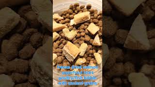 Only Natural Pet Cat Food Recipe for Skin & Coat: Freeze Dried Wild Raw Salmon & Superfood Bites