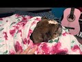 Baby Meg first video 😍